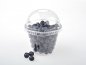 Preview: Clear Cup 200 ml "flach" (1.000 St.)