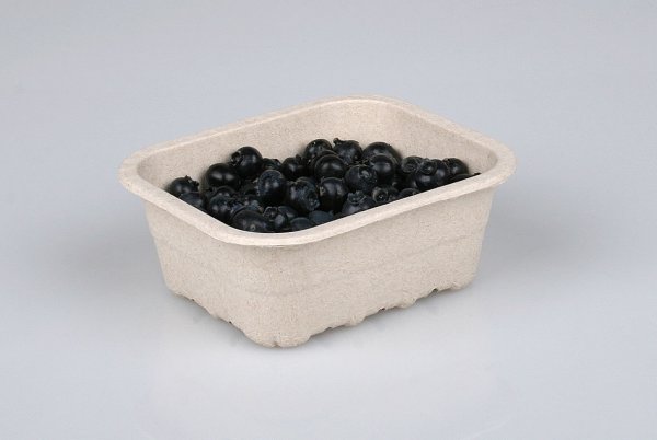 Zellstoffschale für 300 g Beeren (500 St.) - Kopie